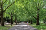Images for Parkgate Road, London