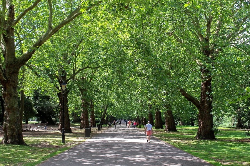 Images for Parkgate Road, London